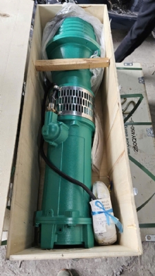 can-dien-tu-camry-sieu-mong-hoa-tiet-hoa-van-eb-9301-s109